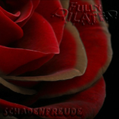 Click here to download your own FREE copy of the Fully Dilated / Schadenfreude split  &rsquo;Baby, I Love You Like an Unwanted Child&rsquo;